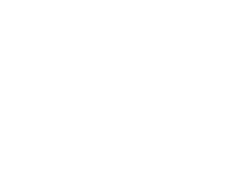Loco Vectux Academy
